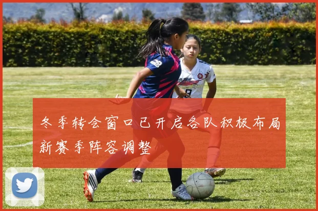 冬季转会窗口已开启各队积极布局新赛季阵容调整