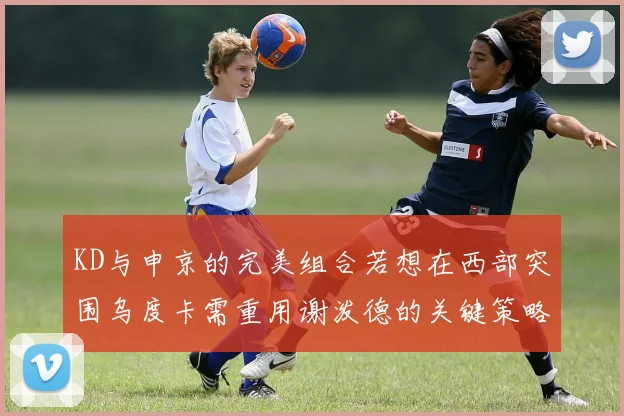 KD与申京的完美组合若想在西部突围乌度卡需重用谢泼德的关键策略