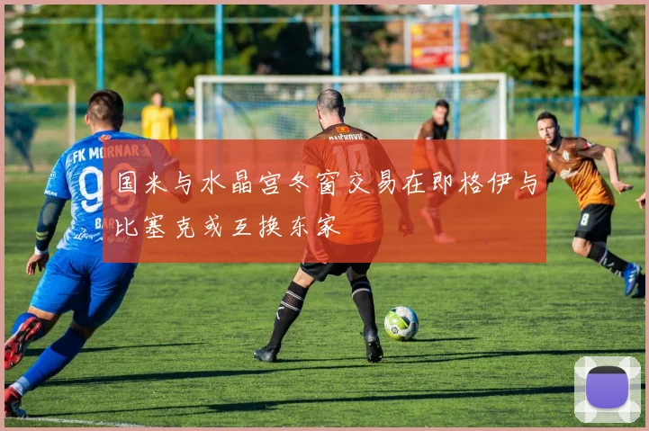 国米与水晶宫冬窗交易在即格伊与比塞克或互换东家