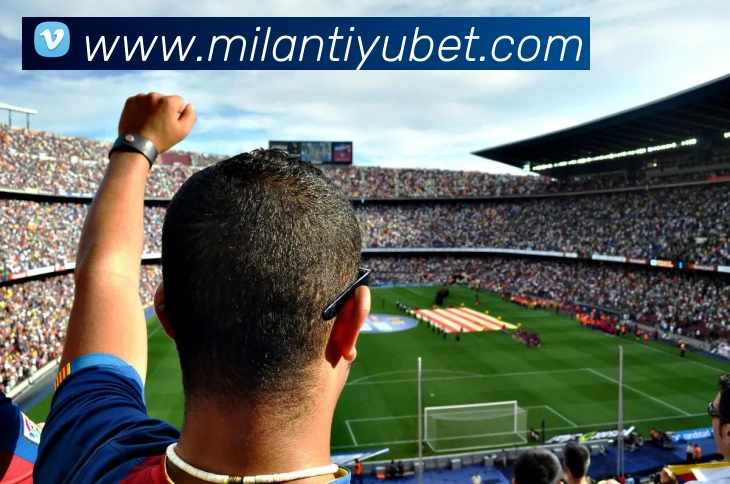 米兰体育平台生态图